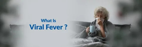 Viral Fever vs Dengue vs Flu